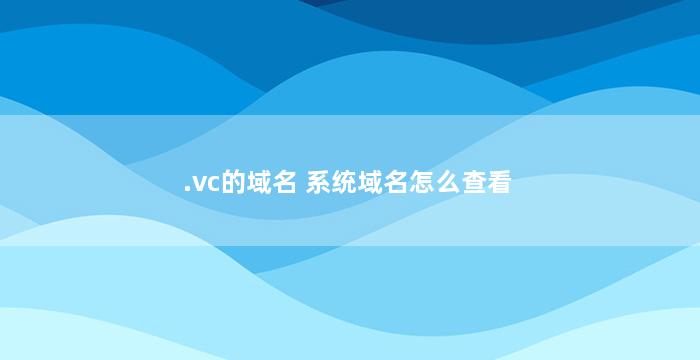 .vc的域名 系统域名怎么查看